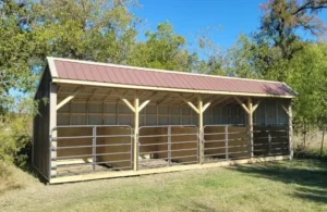 livestock_shed_8